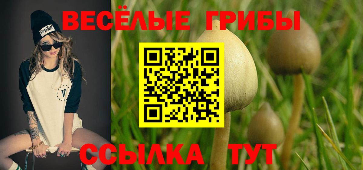 Галлюциногенные грибы GOLDEN TEACHER Губкинский